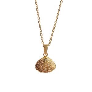 elegant openable shell necklace